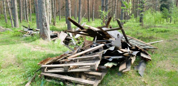 Debris Removal Service in Apopka